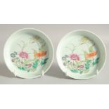 A PAIR OF CHINESE FAMILLE ROSE PORCELAIN DISHES, with floral decoration, each 14.5cm diameter.