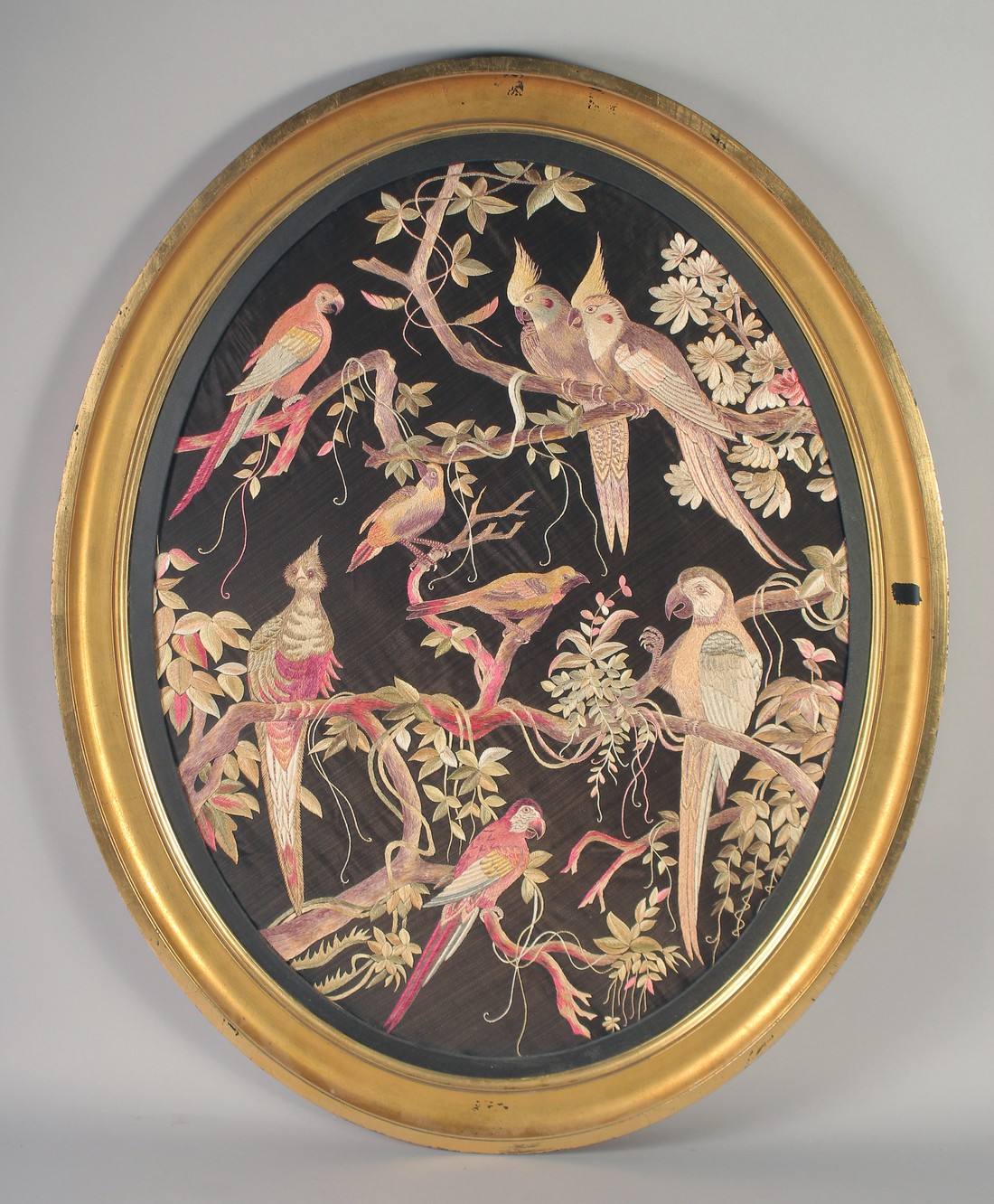 A 19TH CENTURY EUROPEAN SILK OVAL PANEL, with exotic birds on branches, encased within gilt frame,