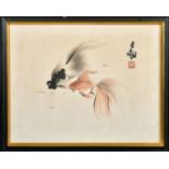 A JAPANESE WATERCOLOUR PAINTING OF FISH, inscribed and with red seal, framed and glazed, 30.5cm x
