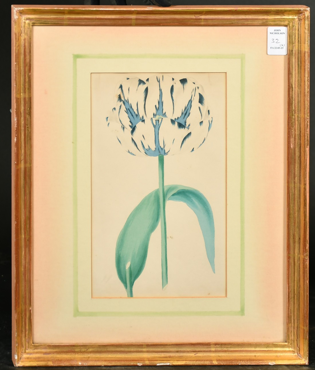 A set of four 19th Century hand-coloured engravings of tulips, each 9.5" x 6" (24 x 15cm), in fine - Image 5 of 5