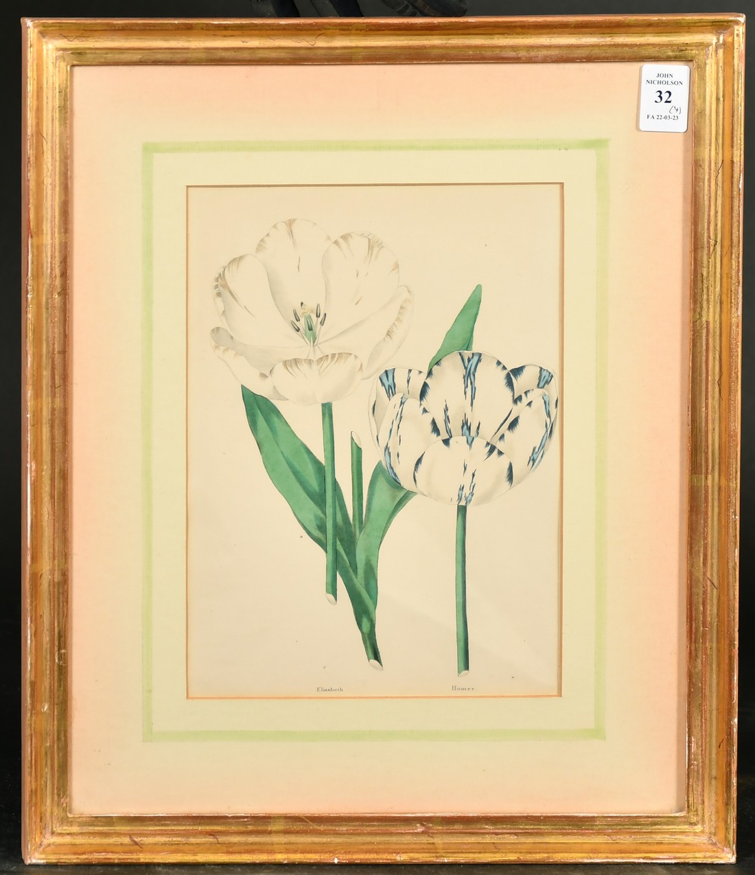 A set of four 19th Century hand-coloured engravings of tulips, each 9.5" x 6" (24 x 15cm), in fine - Image 3 of 5