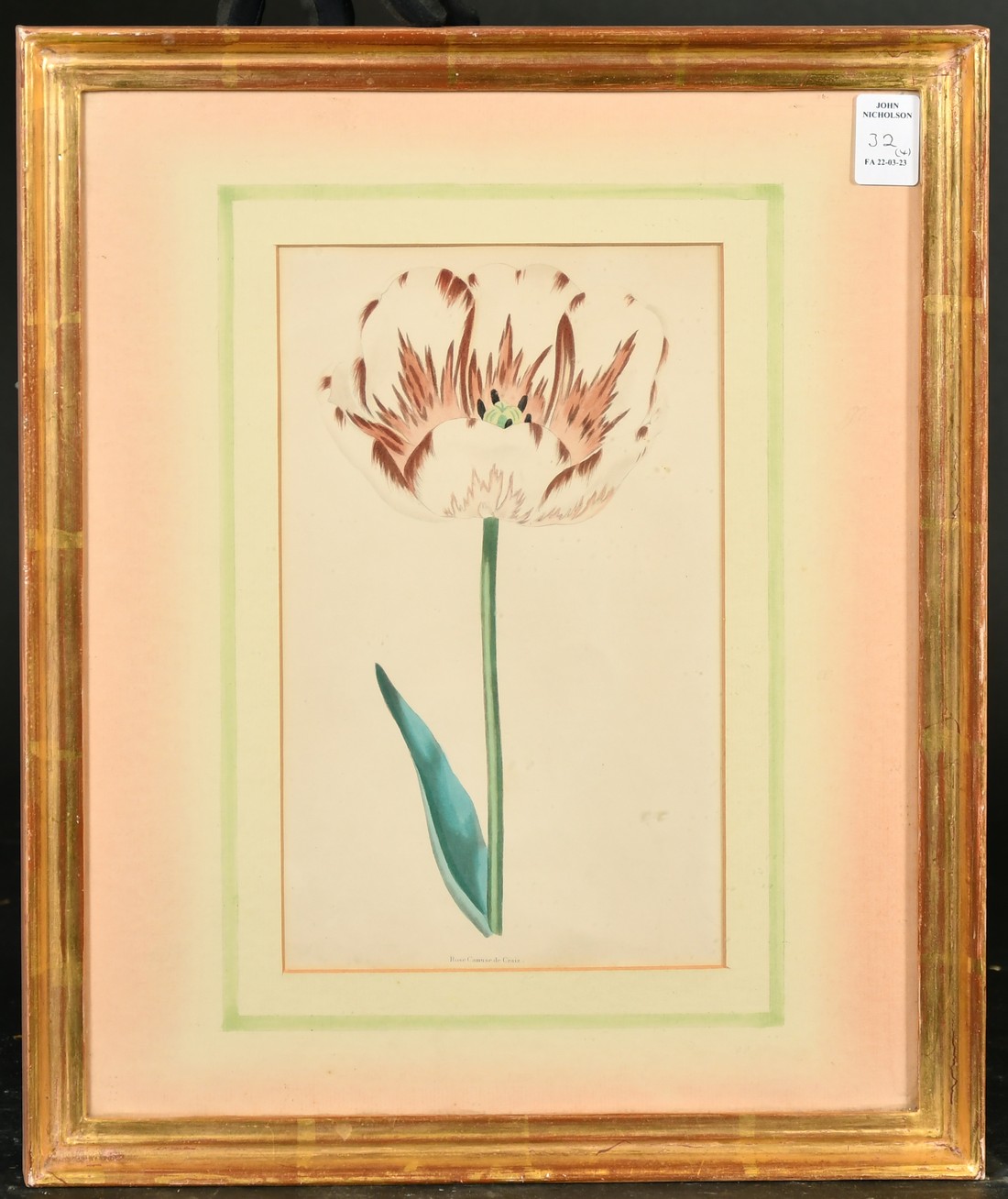 A set of four 19th Century hand-coloured engravings of tulips, each 9.5" x 6" (24 x 15cm), in fine - Image 2 of 5