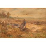 James Stinton (1870-1961) British, Partridge in an open landscape, watercolour, signed, 6.5" x 9.