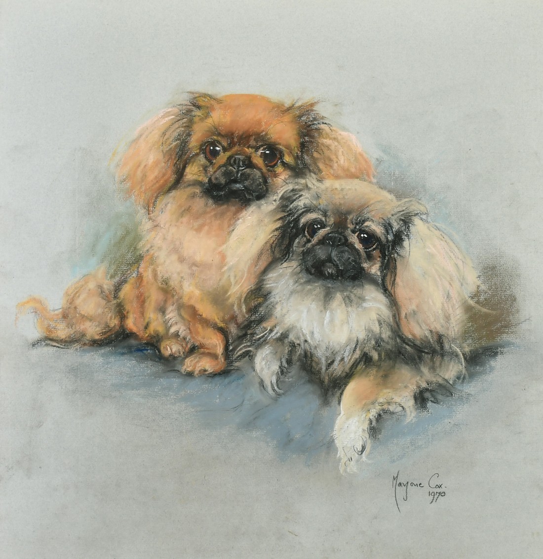 Marjorie Cox (1915-2003) British, a portrait study of two Pekingese, pastel, signed and dated