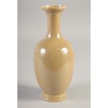 A CHINESE YELLOW GROUND PORCELAIN VASE, 22cm high.