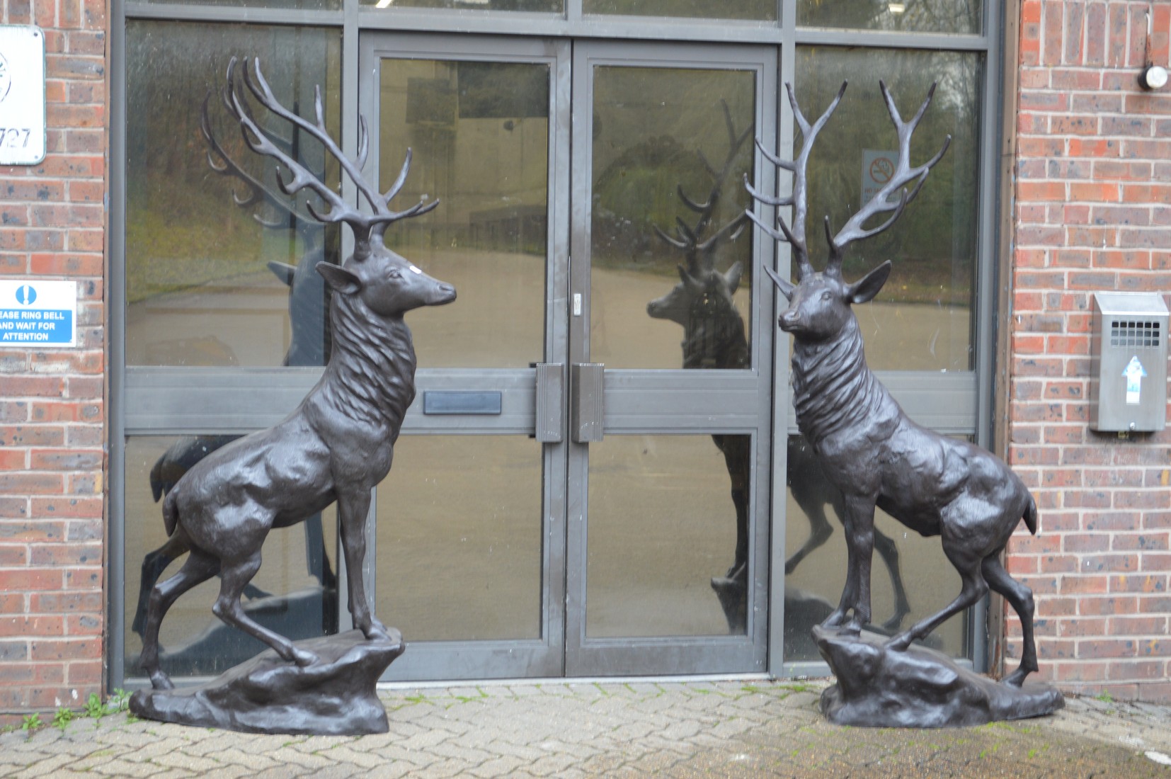 A good pair of near life size bronze stags.