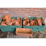 A quantity of terracotta plant pots.