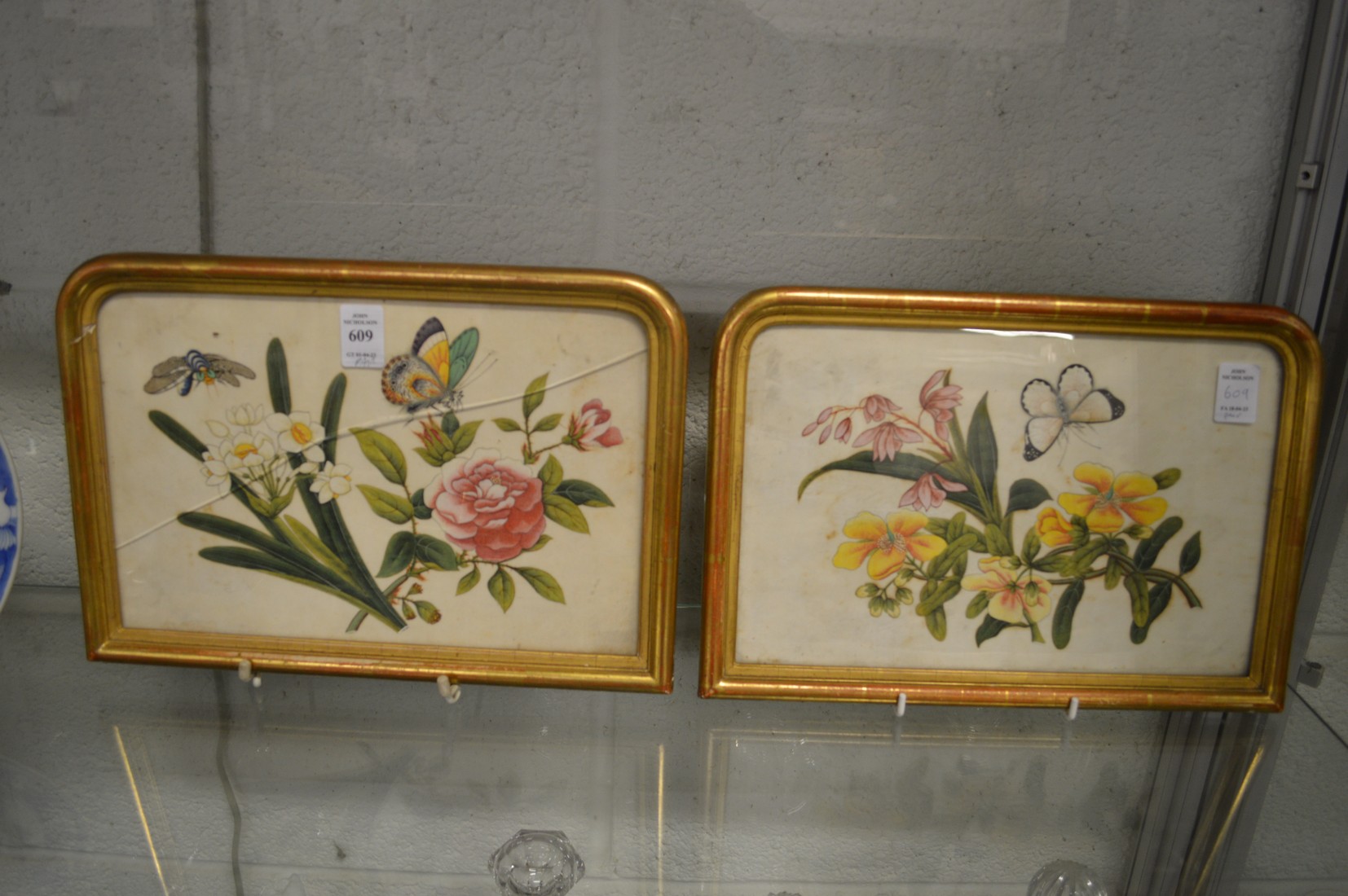 A pair of Chinese pith paintings depicting flowers and insects in shaped gilt frames.