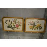 A pair of Chinese pith paintings depicting flowers and insects in shaped gilt frames.