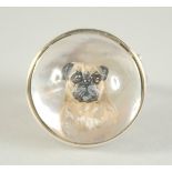 A SILVER ESSEX STYLE CRYSTAL PUG DOG RING.