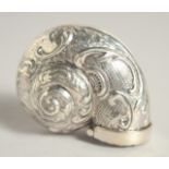 A SILVER CONCH SHELL SNUFF BOX, 1.75".