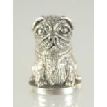 A SILVER PUG DOG THIMBLE.