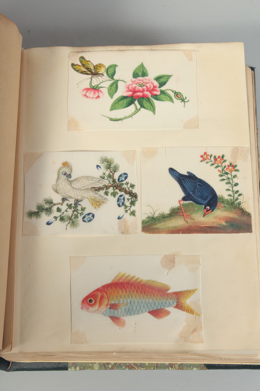 A BOUND ALBUM OF VARIOUS 19TH CENTURY PAINTINGS, ILLUSTRATIONS AND PRESSED FLOWERS, subjects - Image 4 of 9