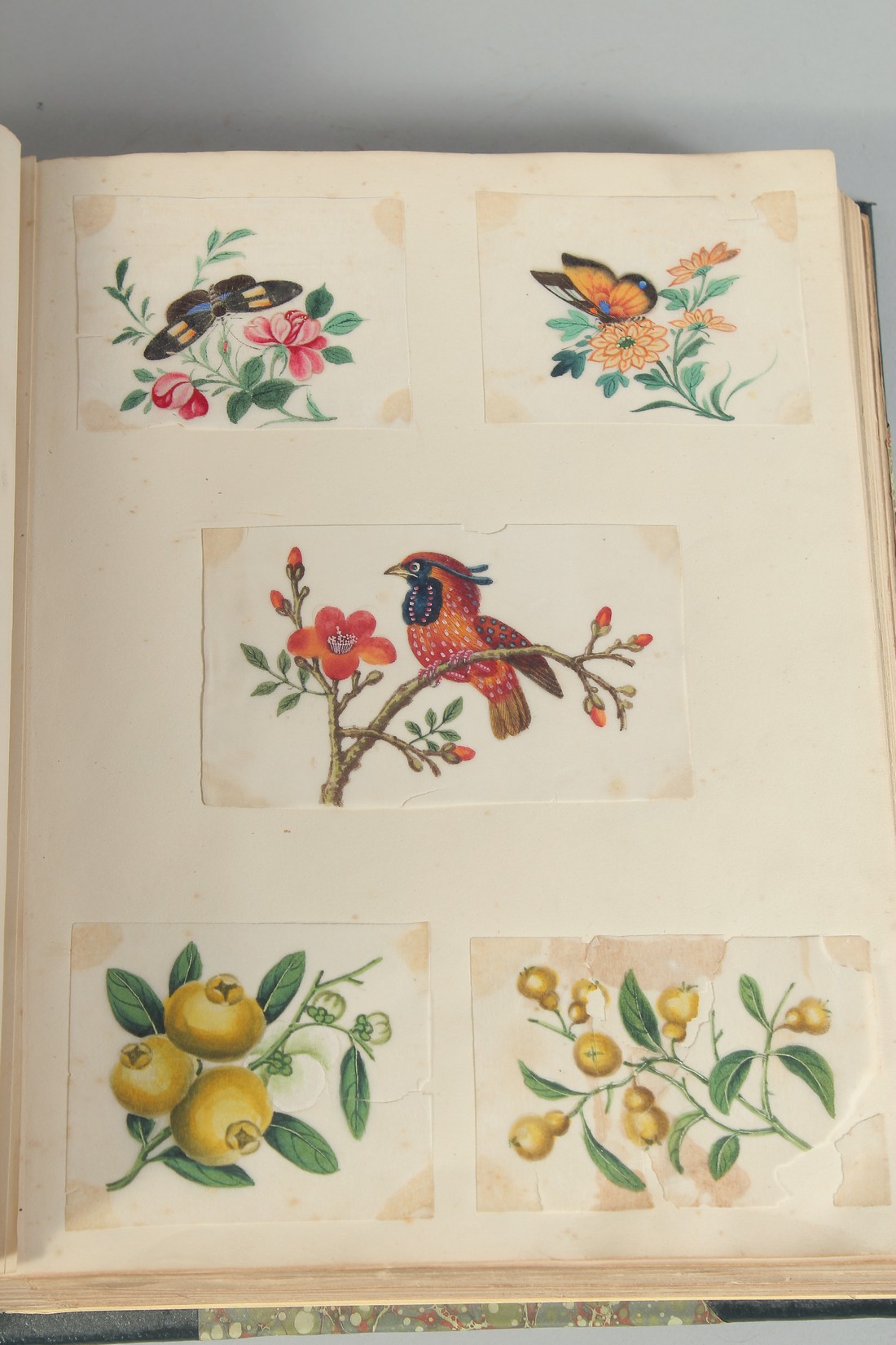 A BOUND ALBUM OF VARIOUS 19TH CENTURY PAINTINGS, ILLUSTRATIONS AND PRESSED FLOWERS, subjects - Image 3 of 9