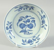 A CHINESE BLUE AND WHITE PORCELAIN DISH, decorated with peaches and other fruits, the exterior