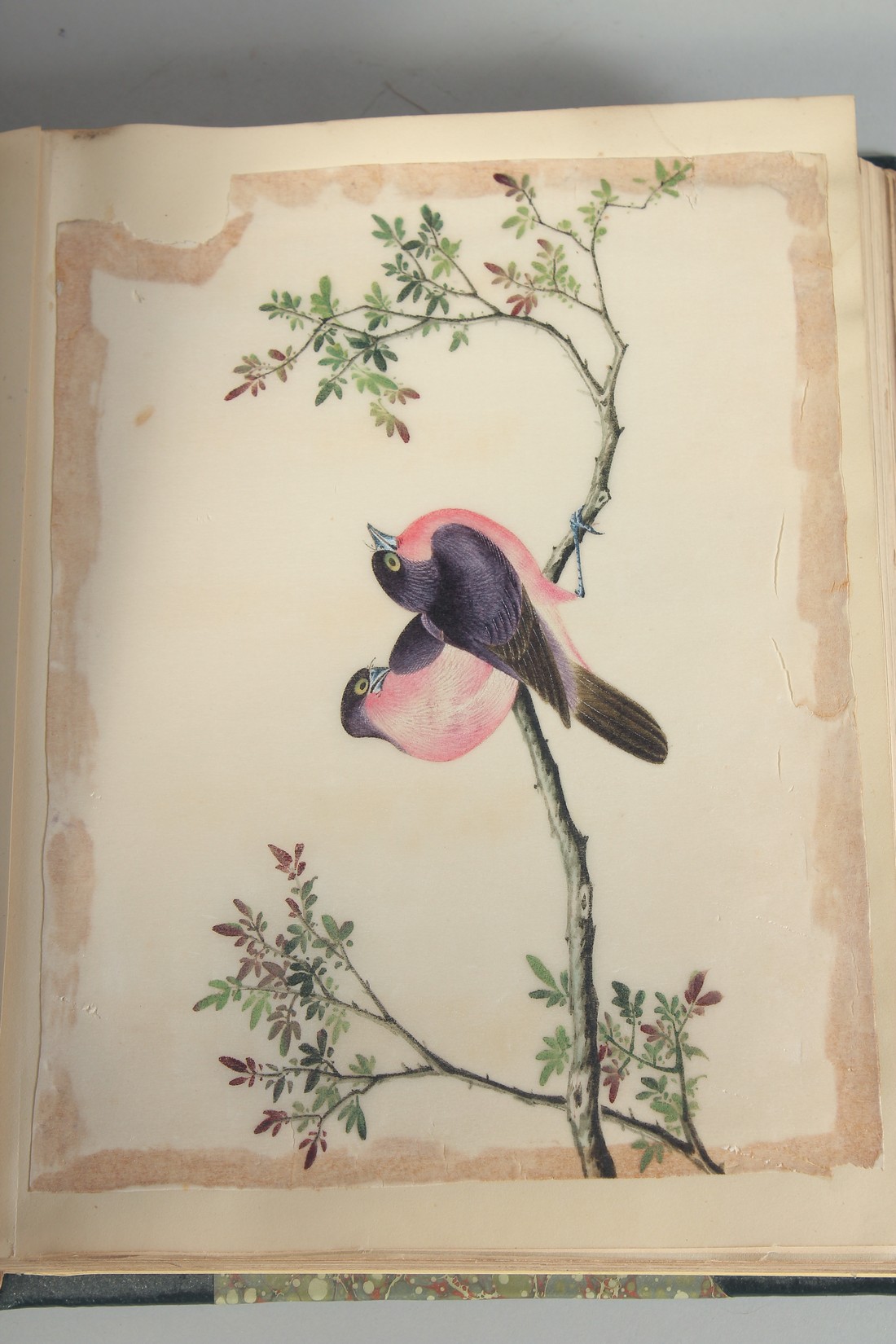 A BOUND ALBUM OF VARIOUS 19TH CENTURY PAINTINGS, ILLUSTRATIONS AND PRESSED FLOWERS, subjects - Image 5 of 9