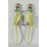 A GOOD PAIR OF PORCELAIN PARAKEET WALL SCONCES with metal candle holders. 1ft 6ins high.