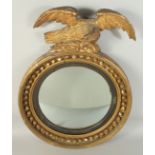 A REGENCY GILTWOOD CIRCULAR CONVEX MIRROR with eagle surmount. 1ft 9ins diameter.