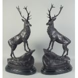 AFTER JULES MOIGNIEZ. A GOOD PAIR OF BRONZE STANDING STAGS on a marble base Signed, 27ins high.