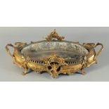 A 19TH CENTURY GILT BRONZE OVAL JARDINIERE with metal liner. 1ft 9ins long.