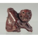 A CARVED WOOD DOG OF FO NETSUKE. 3.5CM