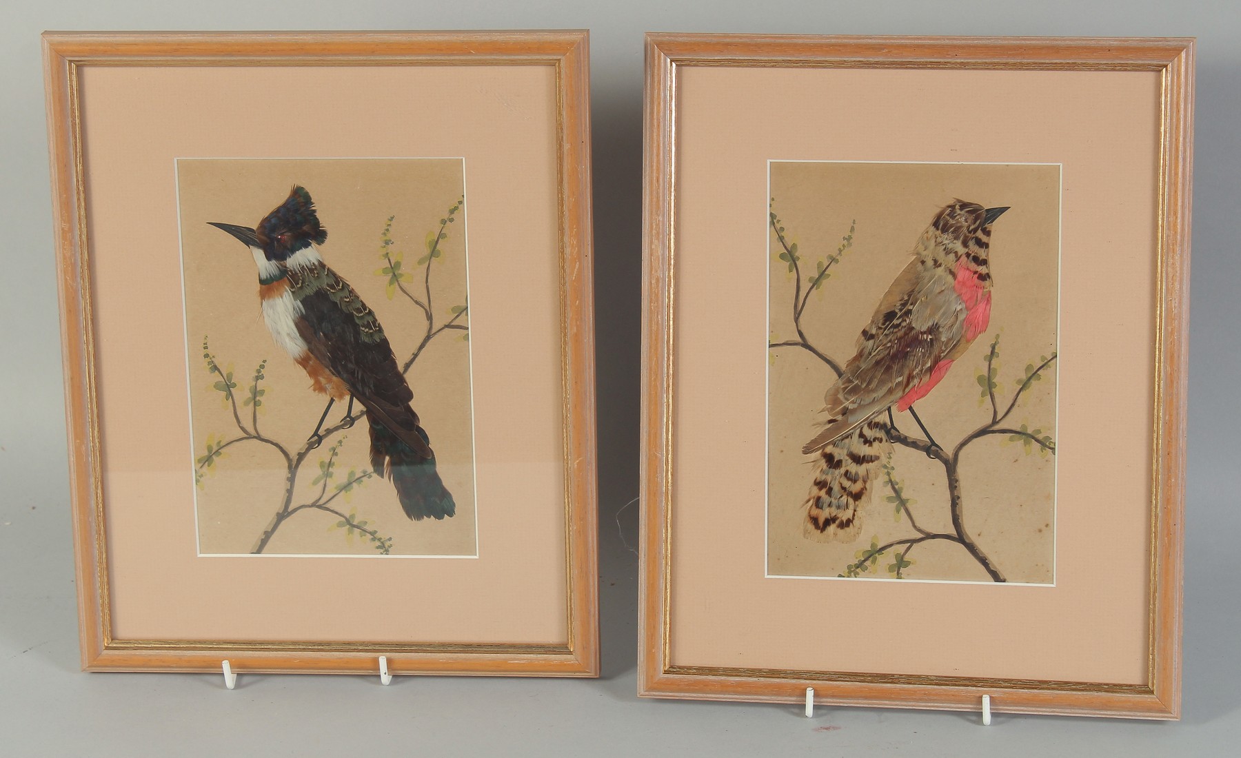 TWO FRAMED AND GLAZED MEXICAN FEATHER PICTURES OF BIRDS. 8ins x 5.5ins.