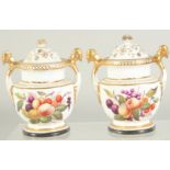 A GOOD PAIR OF ENGLISH PORCELAIN TWO HANDLED POT POURI VASES AND COVERS, painted with birds and