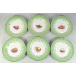 A SET OF SIX PORCELAIN SHELL DESSERT PLATES. 1ft diameter.