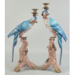 A GOOD PAIR OF BLUE PORCELAIN PARROT CANDLESTICKS on rustic bases, brass capped. 1ft 6ins high.