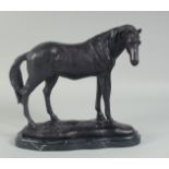 A BRONZE STANDING HORSE on a shaped marble base. 10ins high.