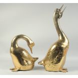 A PAIR OF BRASS DUCKS. 22ins & 12ins long.