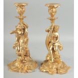 A GOOD PAIR OF GILT BRONZE CANDLESTICKS a cupid on a sea horse and young lady on a dolphin.