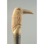 A CARVED BONE HANDLED WALKING STICK "BIRD".