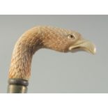 A CARVED BONE HANDLED WALKING STICK "EAGLE".