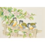 Ella Bruce (20th Century) Three baby tits with pink blossom, watercolour, signed in pencil, 7" x 9.