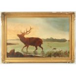 19th Century, A stag walking through shallow water at the edge of a loch with mountains in the