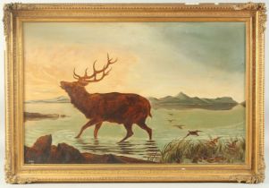 19th Century, A stag walking through shallow water at the edge of a loch with mountains in the