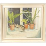 Brian Wilson (20th Century), a cat resting amongst flowerpots on a windowsill, oil on canvas,