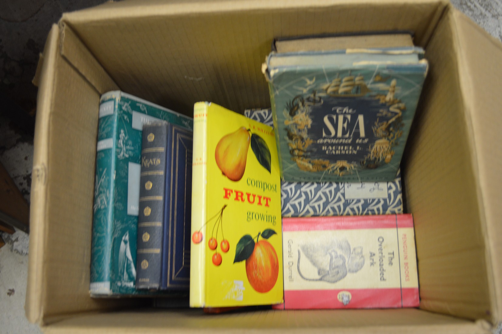 A box of books. - Image 2 of 2