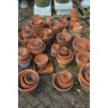 A large quantity of terracotta plant pots.