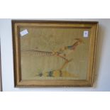 A 19th century silk work picture of an exotic pheasant standing on a branch in a gilt frame.