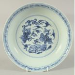 A CHINESE BLUE AND WHITE PORCELAIN DISH, decorated with phoenix amongst stylised clouds, 25cm