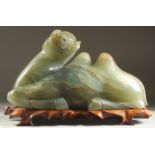 A VERY LARGE JADE FIGURE OF A CAMEL ON A FITTED HARDWOOD STAND, jade 36cm long.
