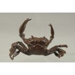 A JAPANESE BRONZE CRAB 3.25ins long.