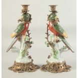 A PAIR OF PORCELAIN RED PARROT CANDLESTICKS with gilt metal mounts. 14ins high.
