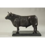A BRONZE STANDING BULL 9ins long, on a marble base.