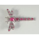 A GOLD BACKED SILVER SET, RUBY AND DIAMOND DRAGONFLY BROOCH.