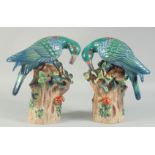 A PAIR OF PORCELAIN BIRD GROUPS on tree stumps, with fruit. 1ft high.