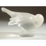 A LALIQUE FROSTED GLASS BIRD. Etched Lalique, France and Crystal Lalique label. 4ins high.