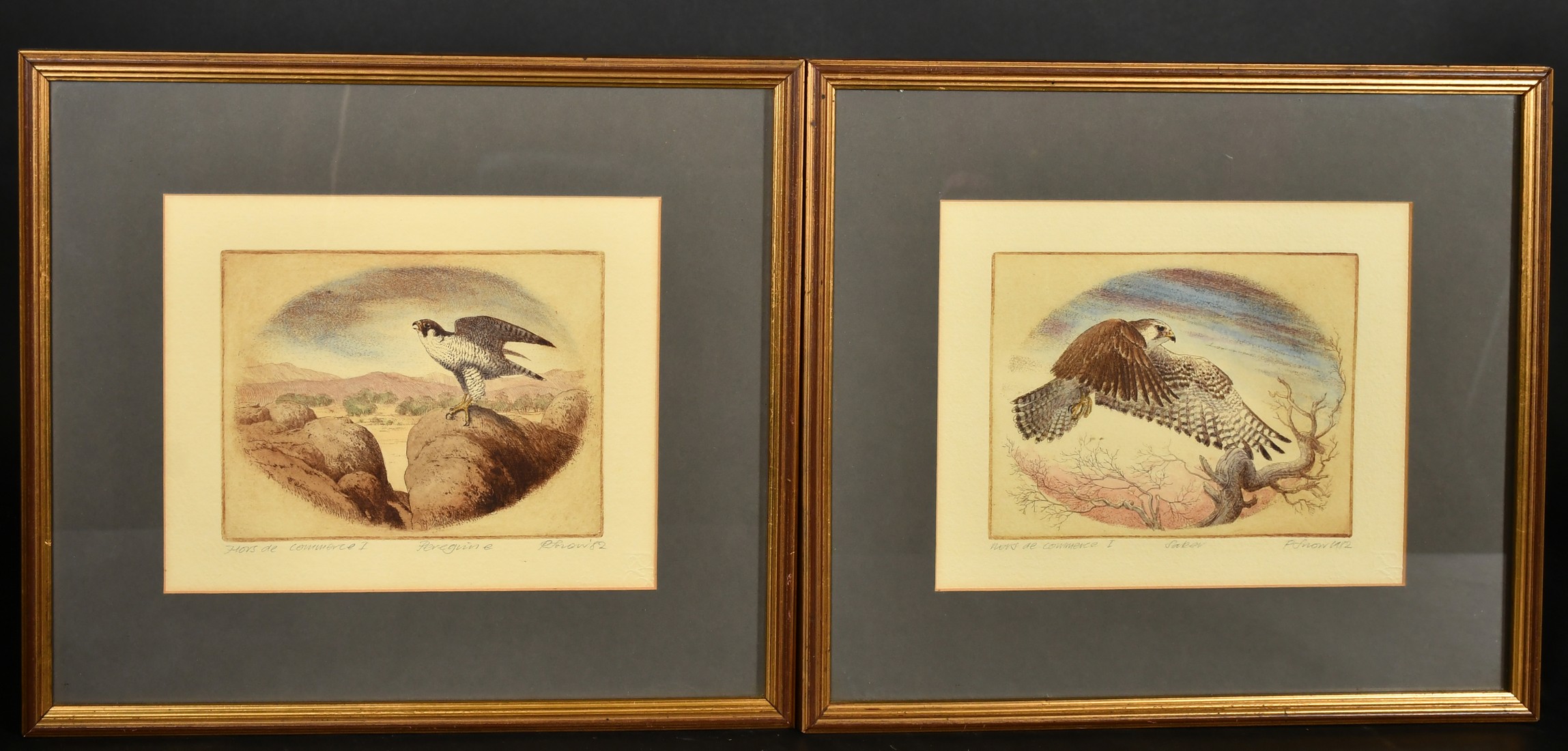 20th Century, a group of six prints relating to birds of prey, each signed and inscribed in - Image 4 of 4